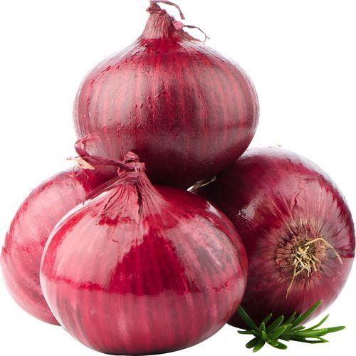 Onion