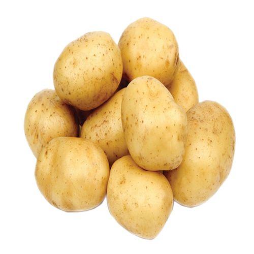 Potato